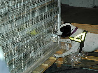 8 million cigarettes seized 